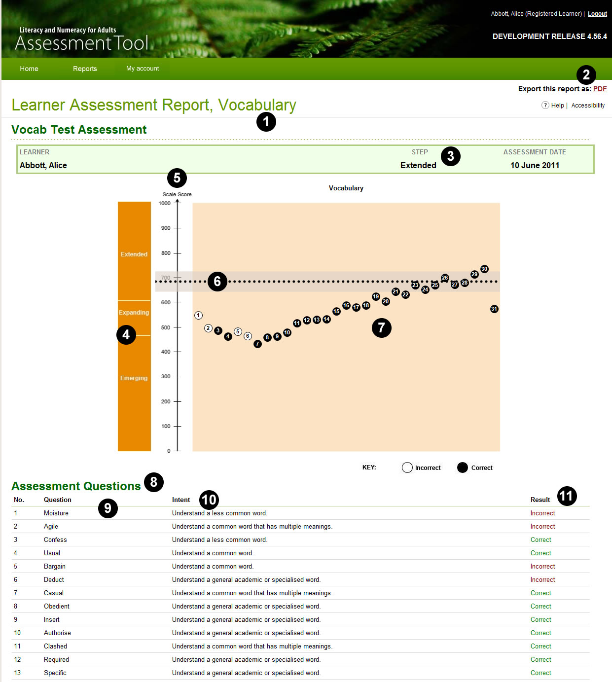 Learner Assessment Report